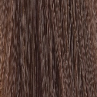 Diarichesse 6