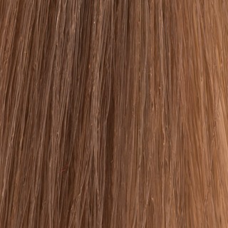 Diarichesse 8.13